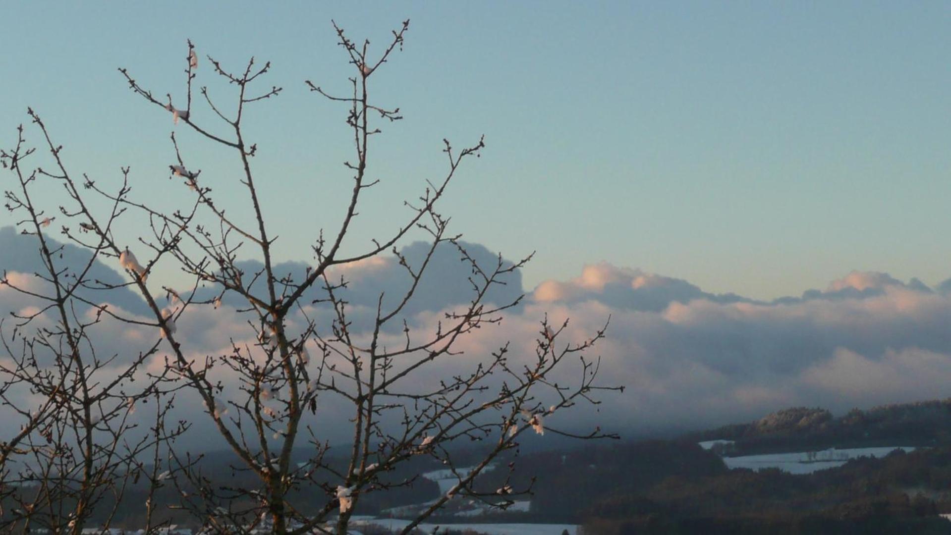 Ferienwohnungen Alpenblick Mit Garten -Panoramasauna- Kirchdorf im Wald Ngoại thất bức ảnh